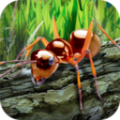 蚂蚁模拟器2中文无敌汉化版