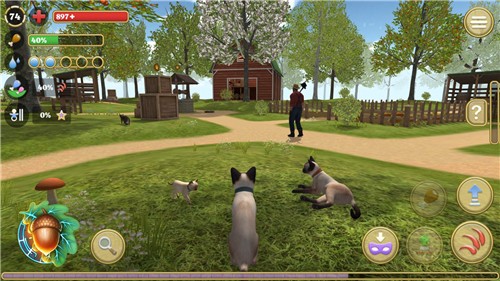 模拟猫咪农场动物1