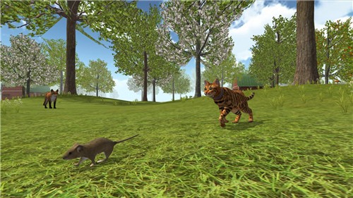 模拟猫咪农场动物3