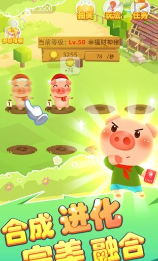 全民赛猪2