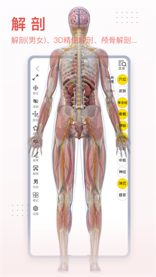 3Dbody解剖图0