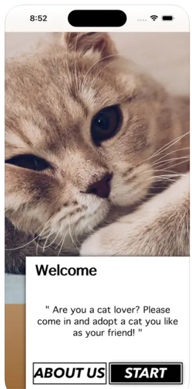 爱猫物语宠物店app1