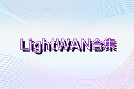 LightWAN合集