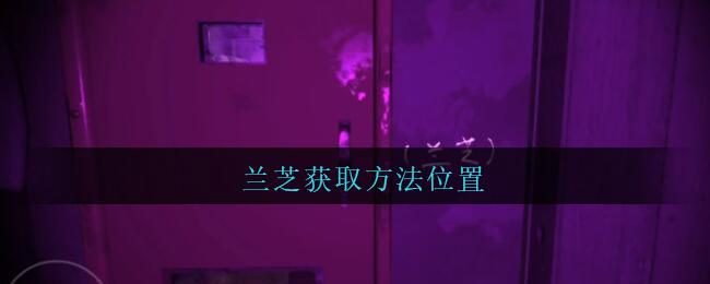 孙美琪疑案兰芝四级线索兰芝获取攻略