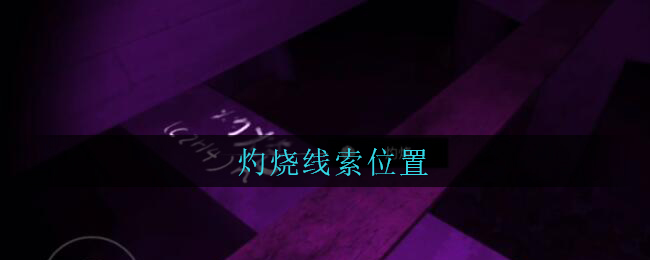 孙美琪疑案兰芝五级线索灼烧位置攻略