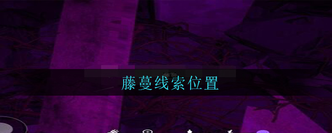 孙美琪疑案兰芝五级线索藤蔓位置攻略