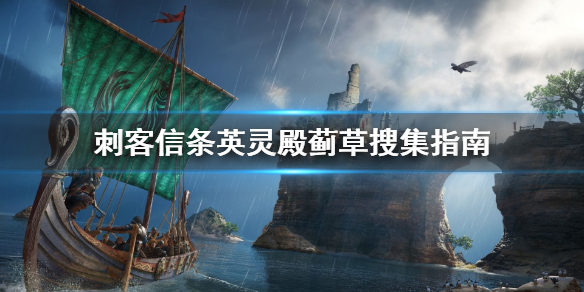 刺客信条英灵殿蓟草收集方法分享