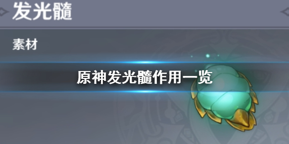 原神发光髓使用效果分享