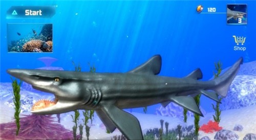 旋齿鲨模拟器3
