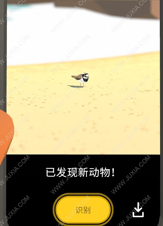 阿尔芭与野生动物的故事金眶鸻位置攻略