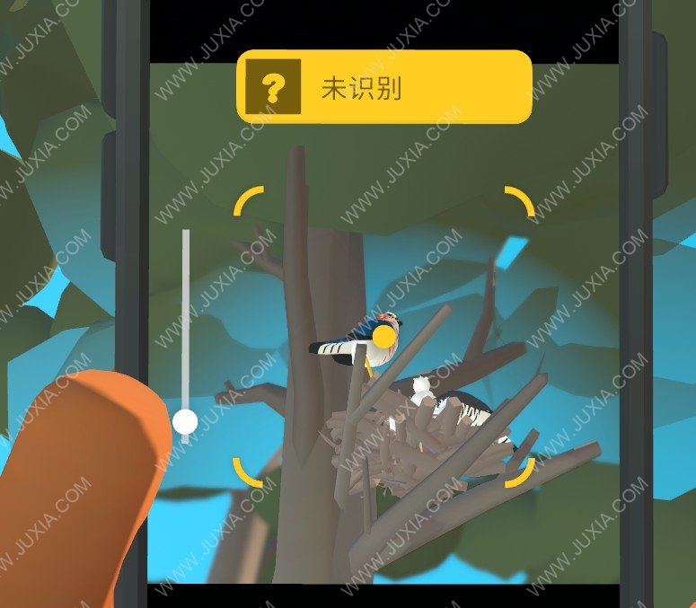 阿尔芭与野生动物的故事雀鹰位置攻略