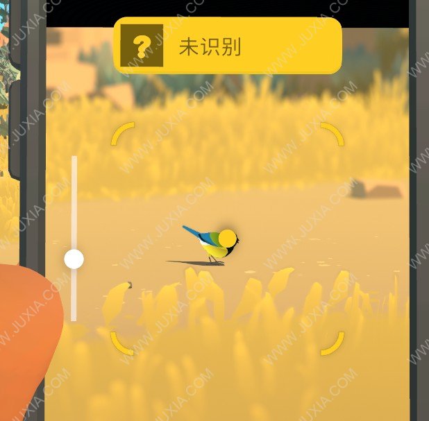阿尔芭与野生动物的故事蓝冠山雀位置攻略