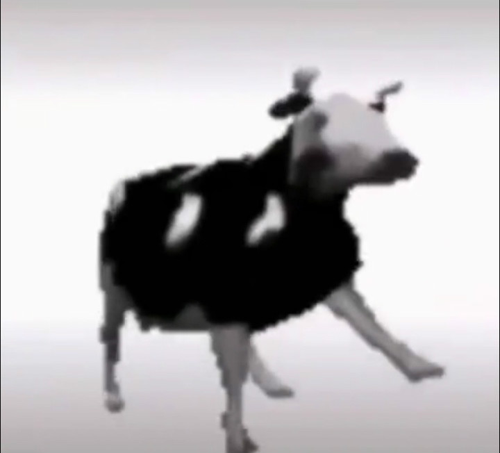 抖音波兰牛跳舞表情包图片2