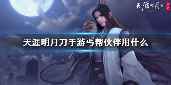 天涯明月刀手游丐帮推荐伙伴选择分享