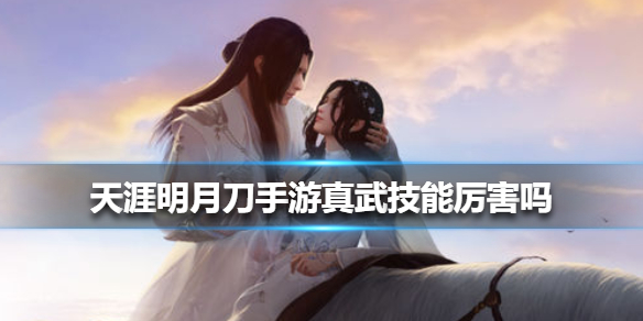 天涯明月刀手游真武最全技能效果解析一览