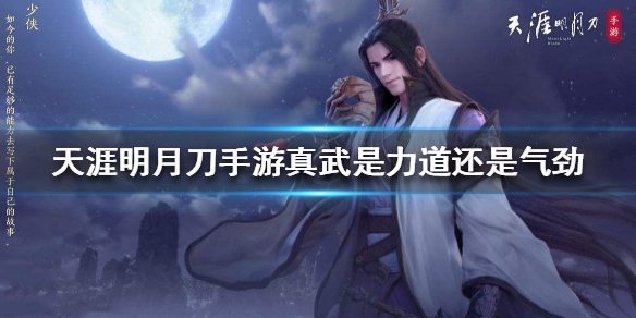 天涯明月刀手游真武属性推荐分享