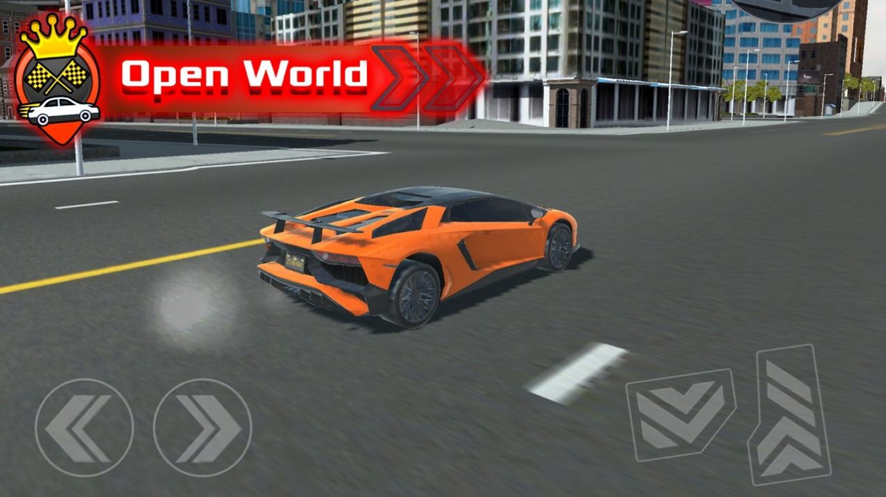 世界驾驶模拟中文版1