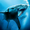 海鲨模拟器