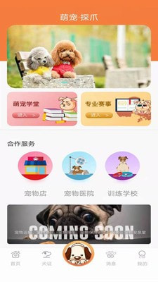探爪1