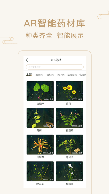 艾帮主小艾1