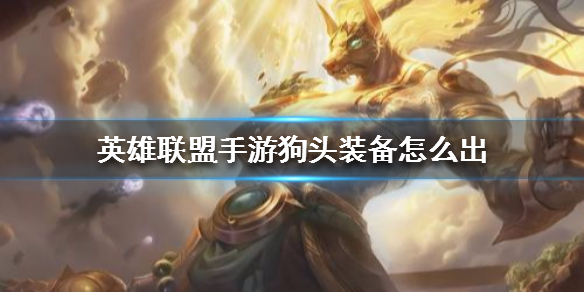 英雄联盟手游狗头适合什么装备