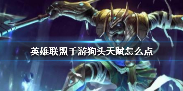 英雄联盟手游狗头天赋如何点
