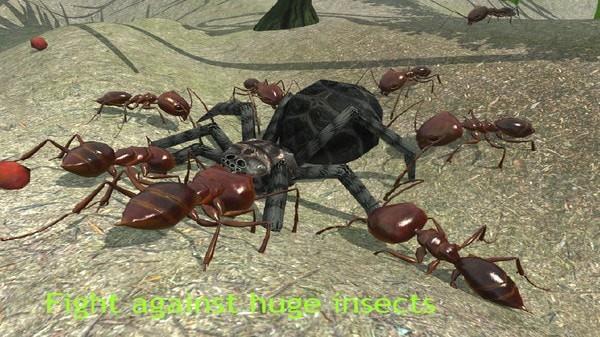 蚂蚁模拟3D1