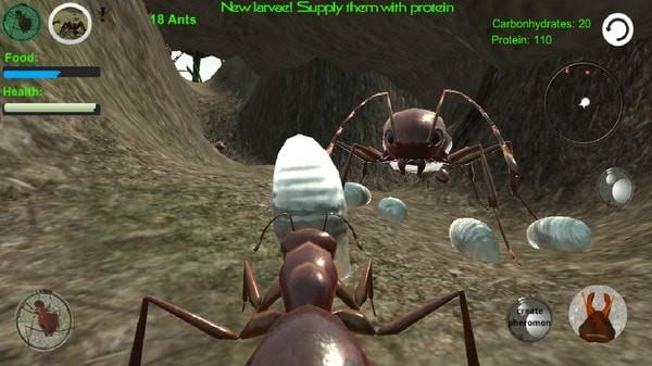蚂蚁模拟3D2