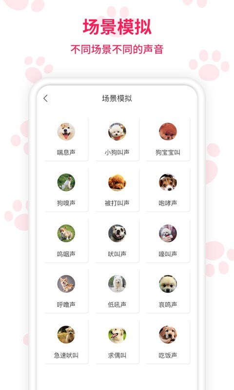 人猫人狗交流师1