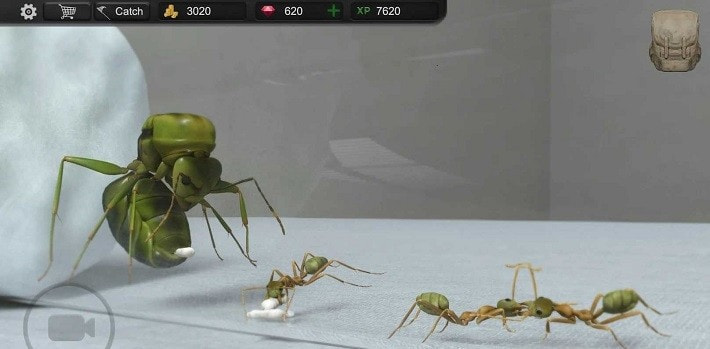 模拟蚂蚁大亨0