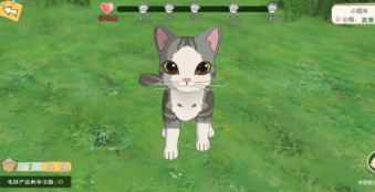 小森生活如何获得猫毛球