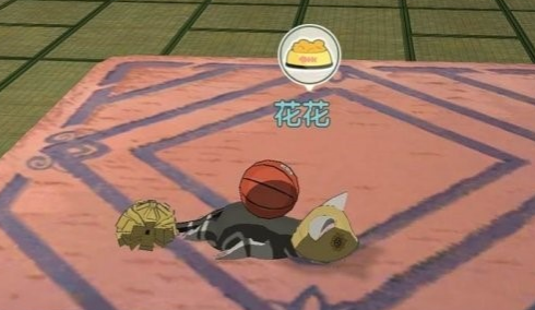 小森生活如何投喂野猫