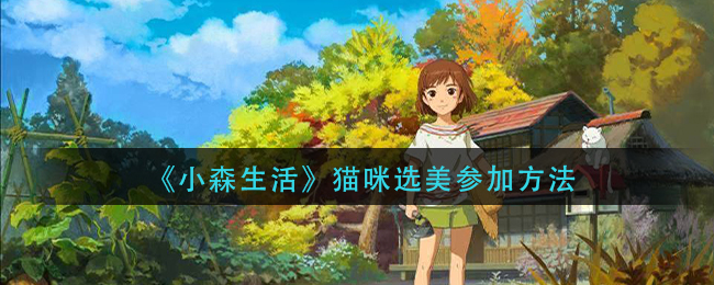 小森生活如何参加猫咪选美