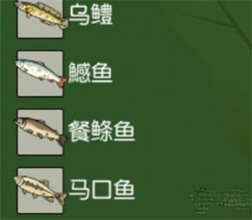 小森生活鱼类都分布在什么地方