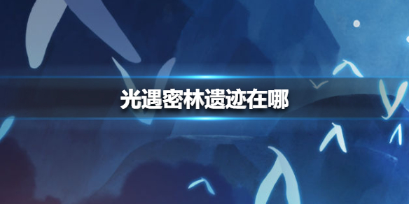 光遇密林遗迹在什么地方