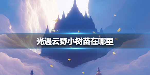 光遇云野小树苗在什么地方