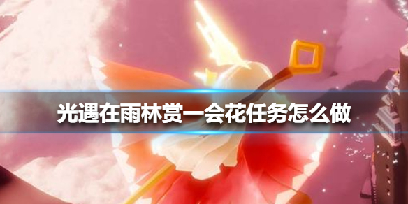 光遇在雨林赏一会花任务如何完成