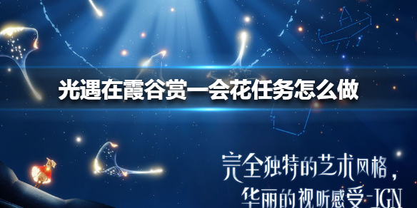 光遇在霞谷赏一会花任务如何完成