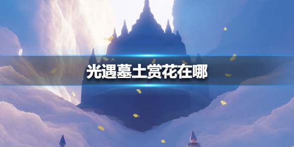 光遇墓土赏花在什么的地方