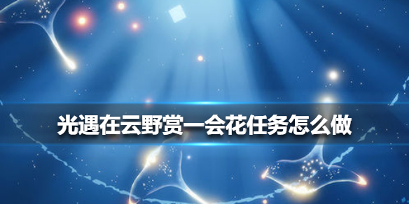 光遇在云野赏一会花任务如何完成