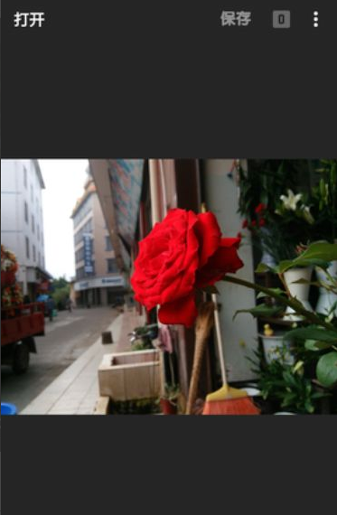 Snapseed如何将图片花朵背景变黑