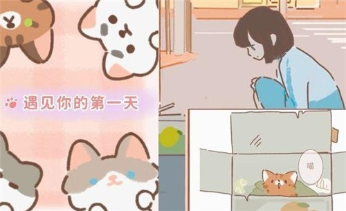 遇见你的猫有什方法可以获得猫咪