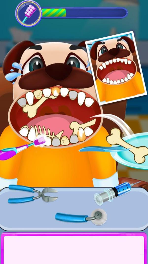 动物牙齿医院0