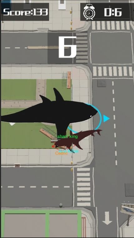 鲨鱼横冲直撞0