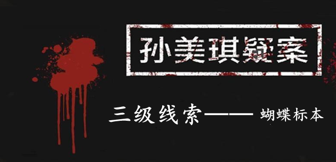 孙美琪疑案：12三级线索——蝴蝶标本