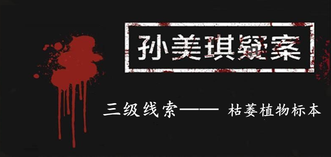 孙美琪疑案：12三级线索——枯萎植物标本