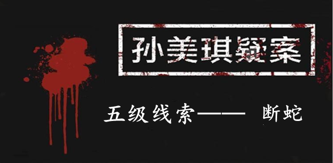 孙美琪疑案：12五级线索——断蛇