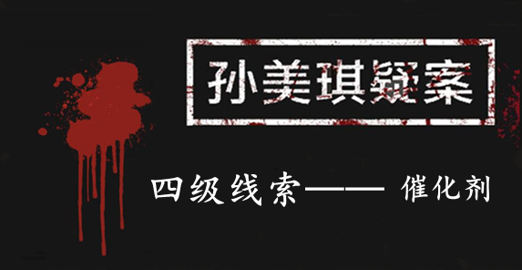 孙美琪疑案：张家港口四级线索——催化剂