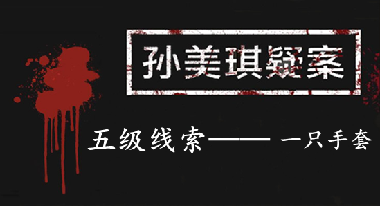 孙美琪疑案：张家港口五级线索——一只手套