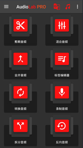 audiolab中文专业版1